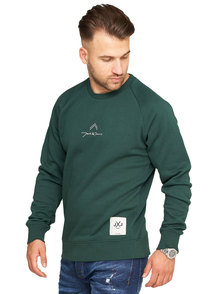 Jack & Jones Infinity Herren Sweatshirt MATTEO Pullover Sweater Pine Grove L